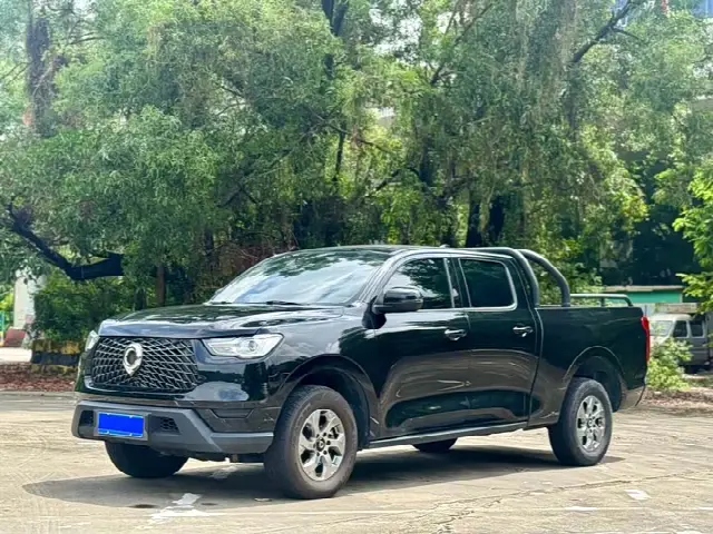 Great Wall Pao 2023, 30 000 км