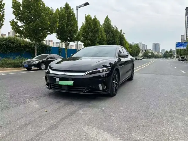 BYD Han 2025, 29 000 км