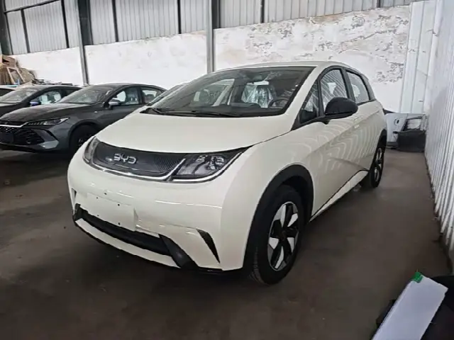 BYD Dolphin 2025, новый