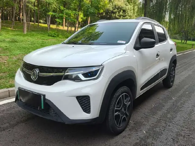 Dongfeng Yipai Nano EX1 2022, 48 000 км