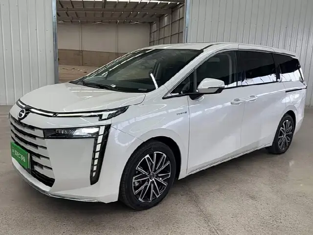 GAC Trumpchi E8 2024, 11 500 км