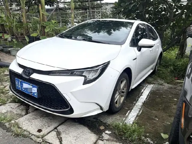 Toyota Levin 2022, 100 000 км