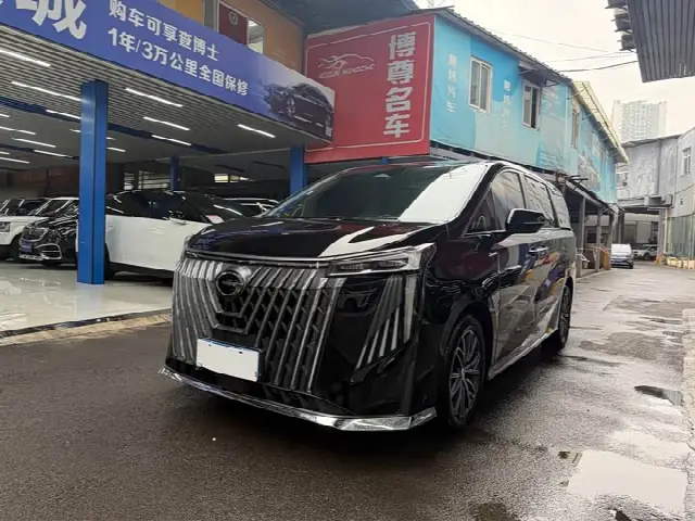 GAC Trumpchi M8 2024, 28 000 км