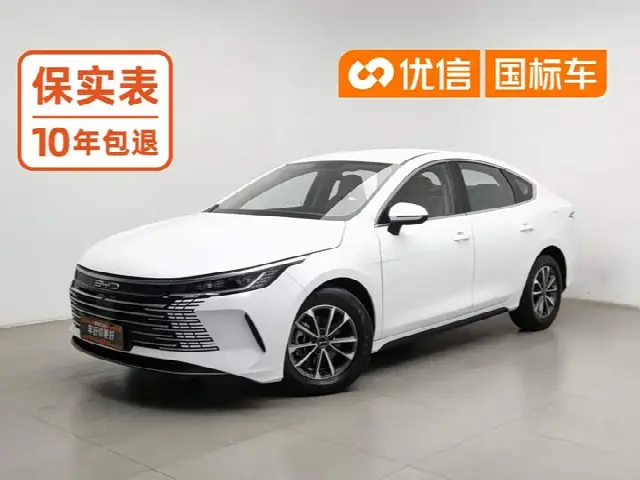 BYD Destroyer 05 2023, 49 800 км