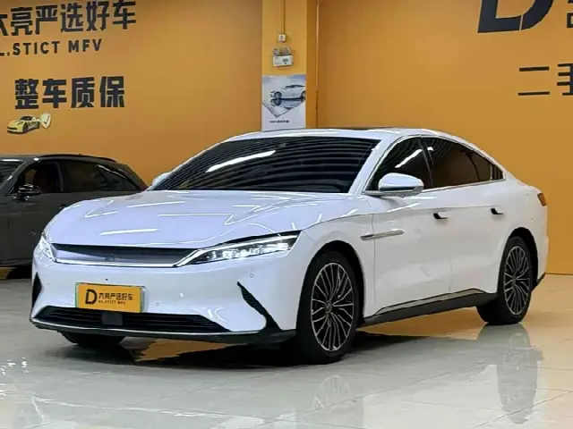BYD Han 2020, 84 000 км