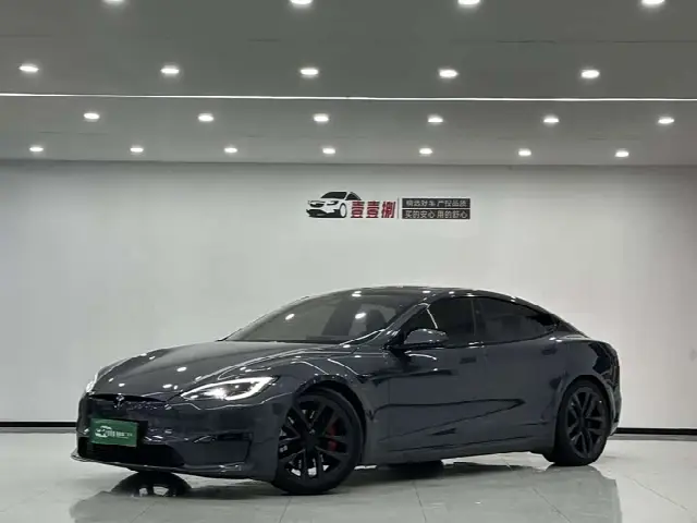 Tesla Model S 2023, 46 000 км