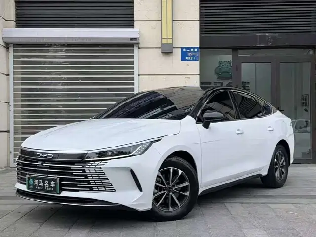 BYD Destroyer 05 2024, 45 000 км