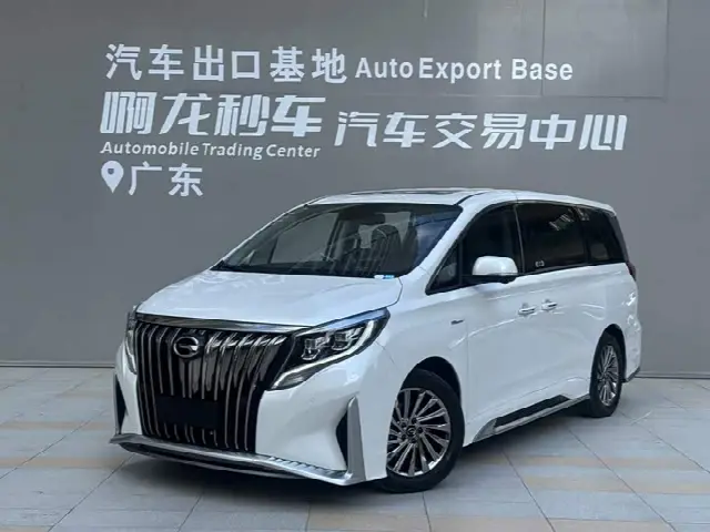 GAC Trumpchi M8 2023, 45 100 км