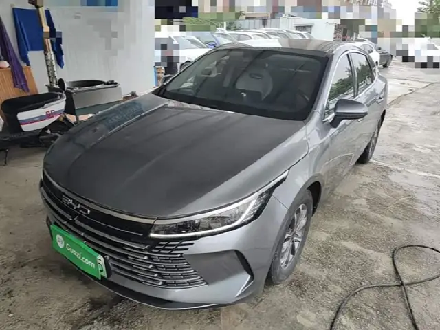 BYD Destroyer 05 2024, 29 500 км