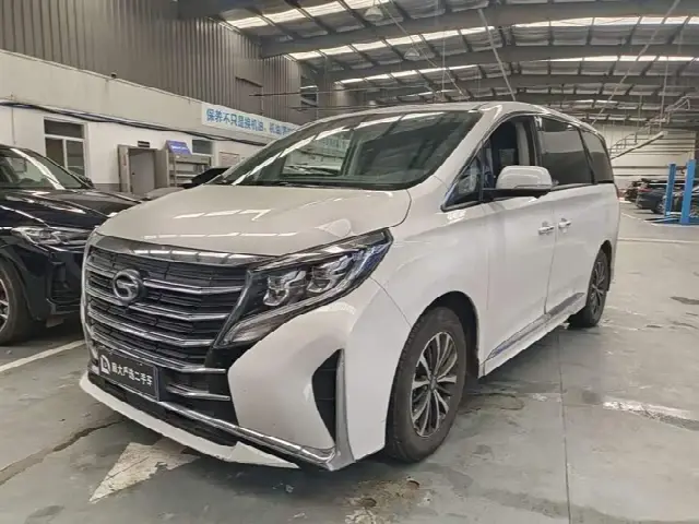 GAC Trumpchi M8 2023, 17 000 км
