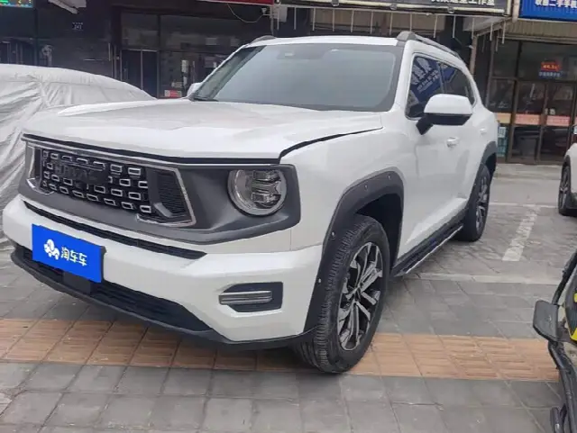 Haval H-Dog 2023, 52 600 км
