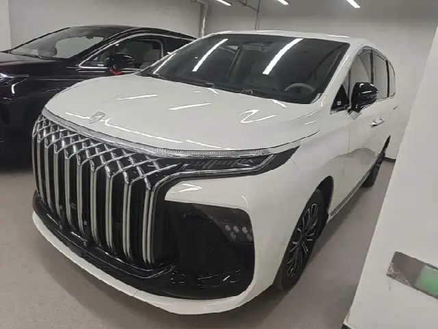 Dongfeng Forthing Xinghai V9 2024, 53 500 км