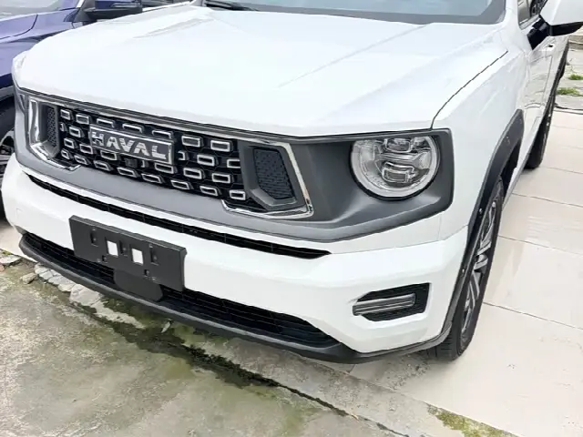 Haval H-Dog 2023, 30 000 км