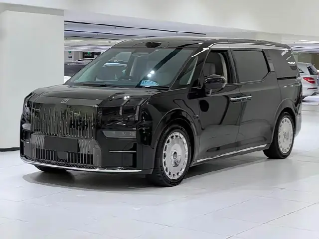 Zeekr 009 2024, 73 000 км