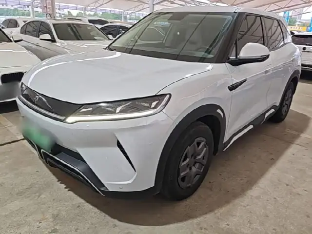 BYD Yuan Up 2024, 74 400 км
