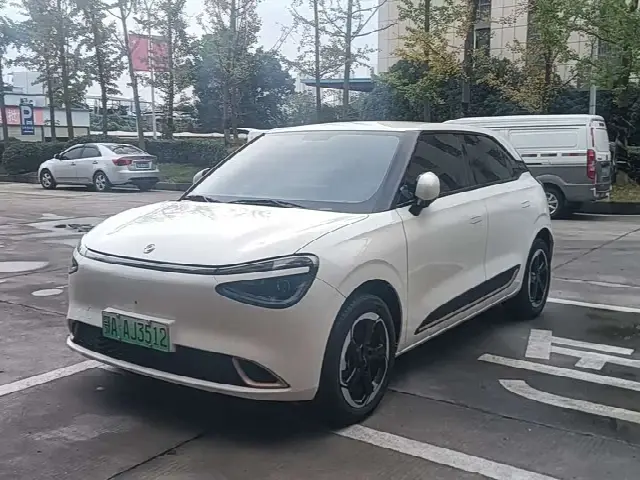 Dongfeng Yipai Nano 01 2024, 12 000 км