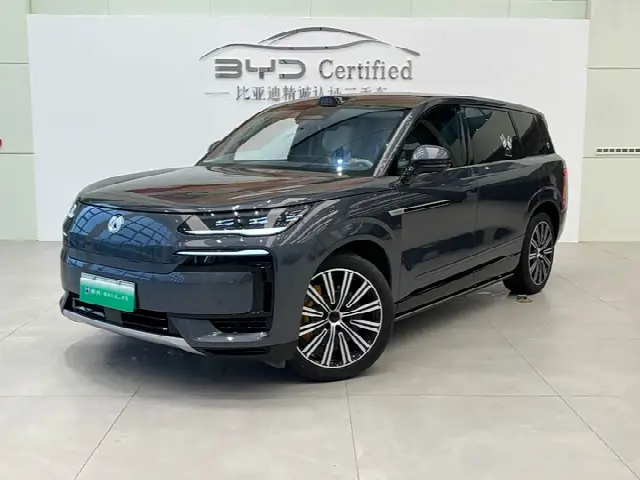 Denza N9 2025, 24 000 км