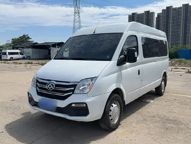 Maxus V80 2025, 67 100 км