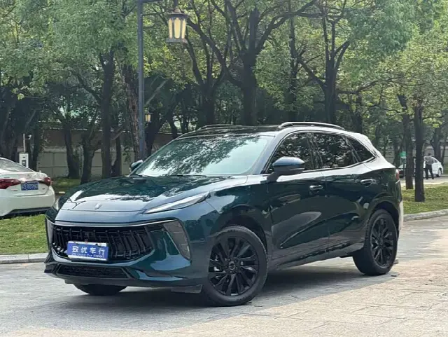 Dongfeng Forthing T5 EVO 2021, 51 000 км