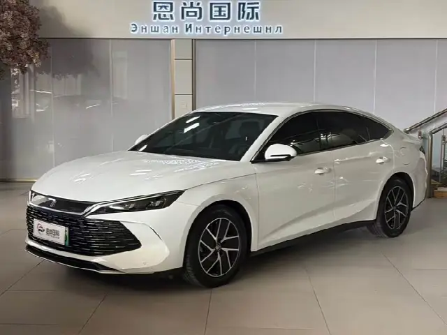 BYD Qin L 2024, 30 000 км