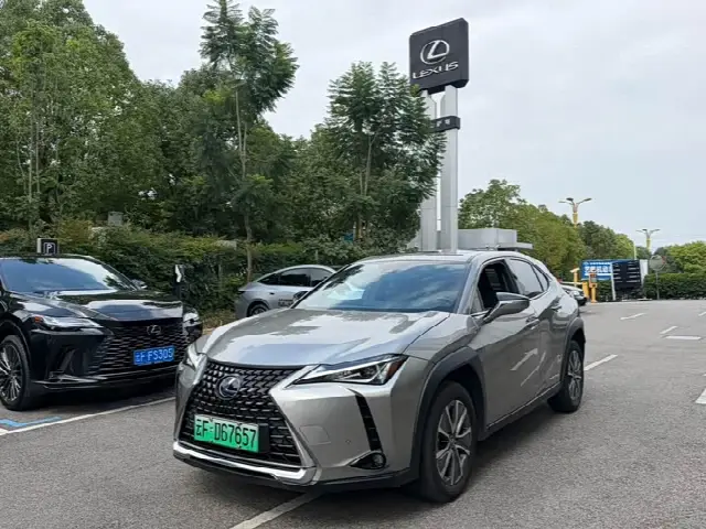 Lexus UX Hybrid 2020, 33 000 км