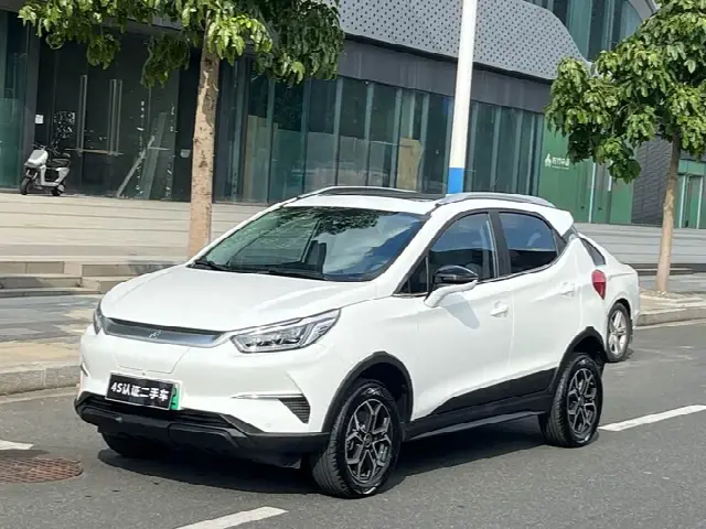 BYD Yuan Pro 2023, 53 000 км