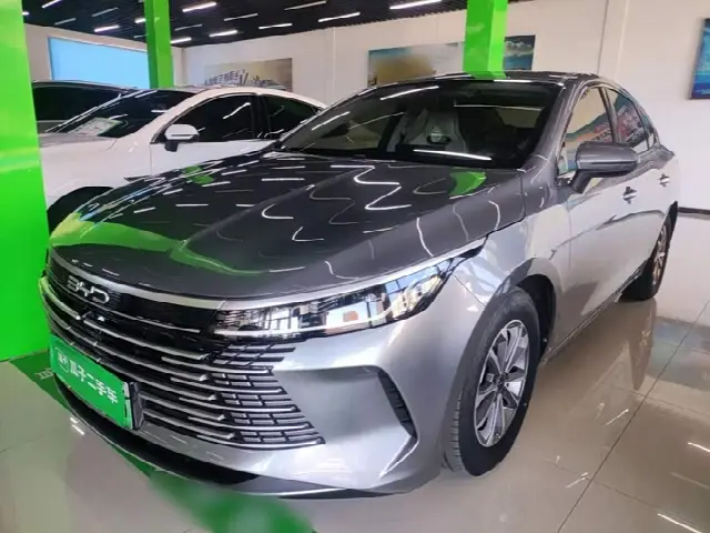 BYD Destroyer 05 2024, 43 500 км