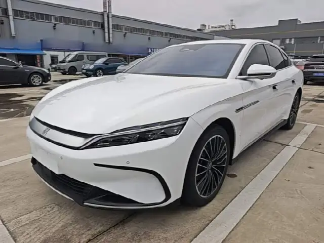 BYD Han 2023, 37 500 км