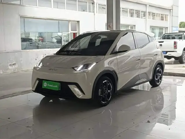 BYD Seagull 2024, 23 700 км