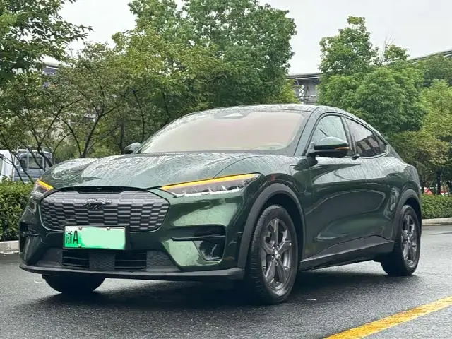 Ford Mustang Mach-E 2021, 58 000 км