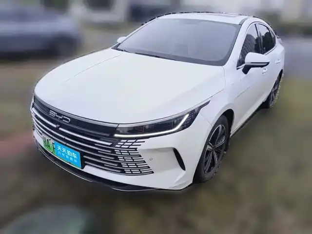 BYD Destroyer 05 2022, 36 860 км