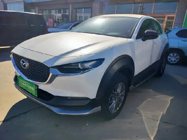 Mazda CX-30 EV 2021, 87 600 км