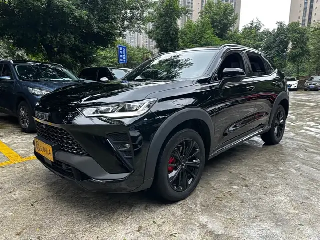 Haval H6S 2022, 33 000 км