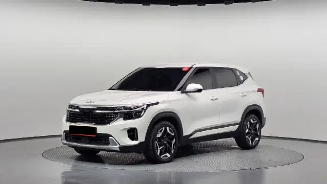 Kia Seltos 2022, 24 232 км