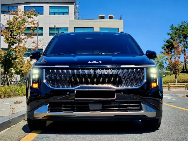 Kia Carnival 2023, 3 977 км