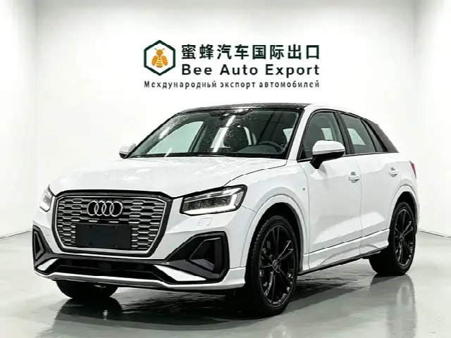 Audi Q2L e-tron 2022, 79 000 км