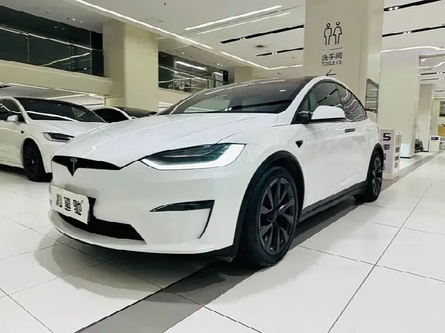 Tesla Model X 2023, 59 000 км
