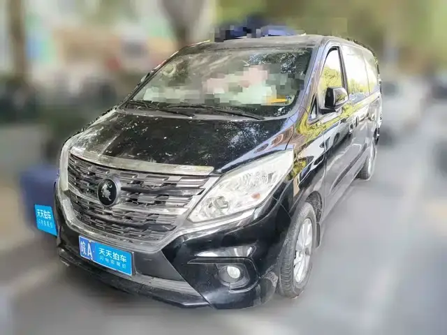 Dongfeng Forthing Lingzhi Plus 2024, 21 000 км