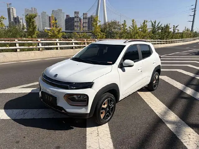 Dongfeng Yipai Nano Box 2022, 16 700 км