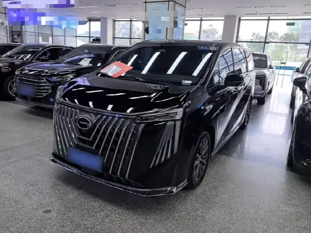 GAC Trumpchi M8 2024, 21 300 км