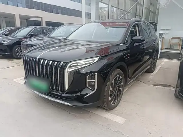 Hongqi HS7 Hybrid 2024, 14 300 км