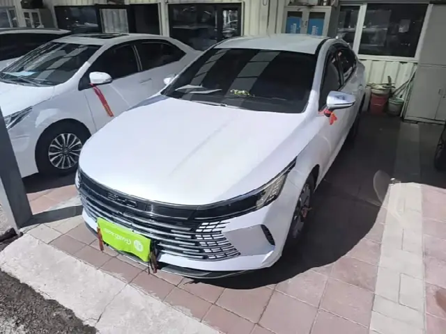 BYD Destroyer 05 2024, 41 500 км