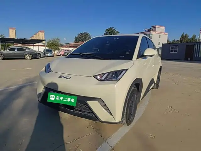 BYD Seagull 2024, 22 100 км