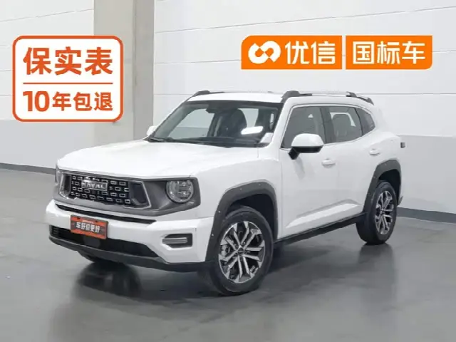Haval H-Dog 2023, 45 300 км