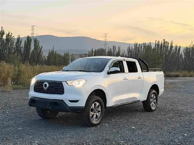 Great Wall Pao 2021, 87 000 км
