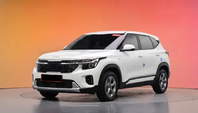 Kia Seltos 2022, 9 218 км