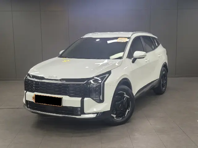 Kia Sportage 2024, 18 704 км