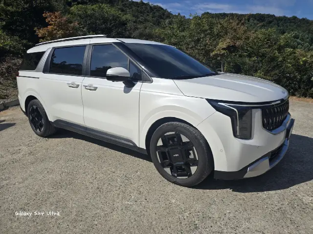 Kia Carnival 2023, 41 876 км