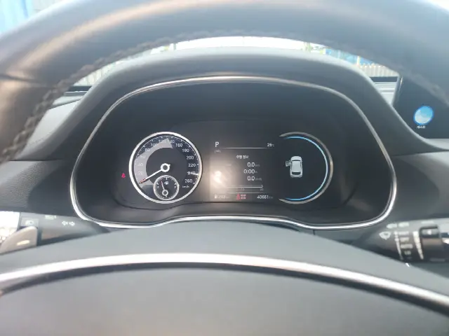 Genesis GV80 2020, 40 769 км