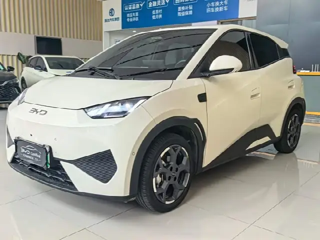 BYD Seagull 2025, 37 900 км